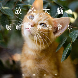 美女挤自己奶㊙️视频
